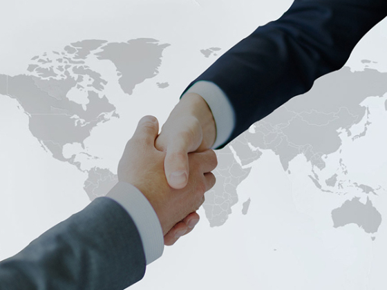 浙江七兆电力科技有限公司网站成功上线！